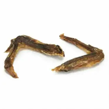 Aile de canard 🦆 pour chien - Biscuit Rex