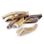 Bois de cerf 🦌 entier pour chien - Biscuit Rex