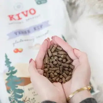 Croquettes poulet frais, pressé à froid, sans gluten pour chiot - Kivo Biscuit Rex