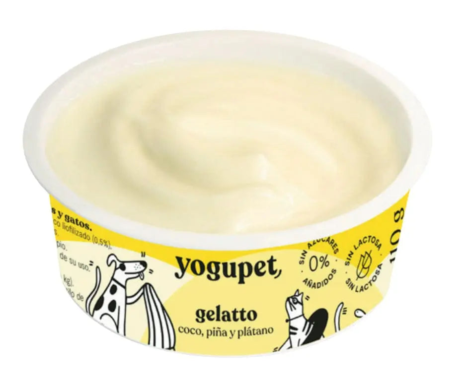 Glace 🍦 sans lactose pour chien 🥥 🍍 🍌 Biscuit Rex