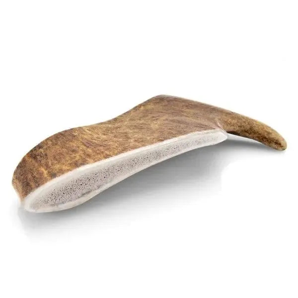Bois de daim 🫎 pour chien - Biscuit Rex