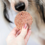 Patée à l'Agneau sans gluten pour chien - Kivo Biscuit Rex