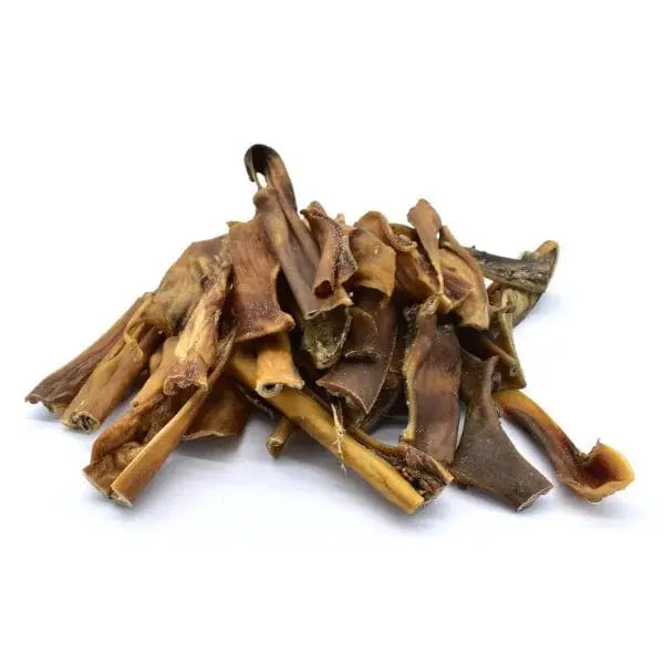 Peau de chameau 🐪 pour chien Biscuit Rex