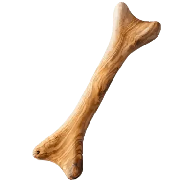 Bois d'olivier 🪵 pour chien en forme d'os - Biscuit Rex