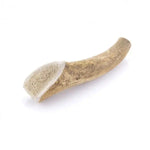 Bois de cerf 🦌 entier pour chien - Biscuit Rex