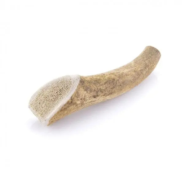 Bois de cerf 🦌 entier pour chien - Biscuit Rex
