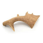 Bois de daim 🫎 pour chien - Biscuit Rex