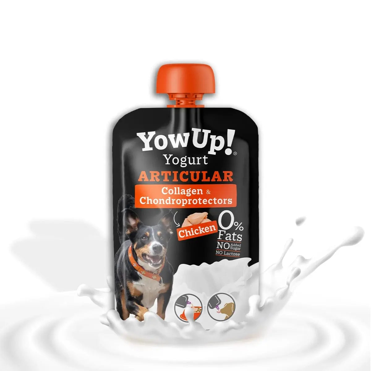 Yaourt à Boire saveurs poulet pour Chien - Yow Up! Biscuit Rex
