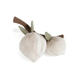 Jouet interactif pour chien Prunes momo - Lambwolf Biscuit Rex