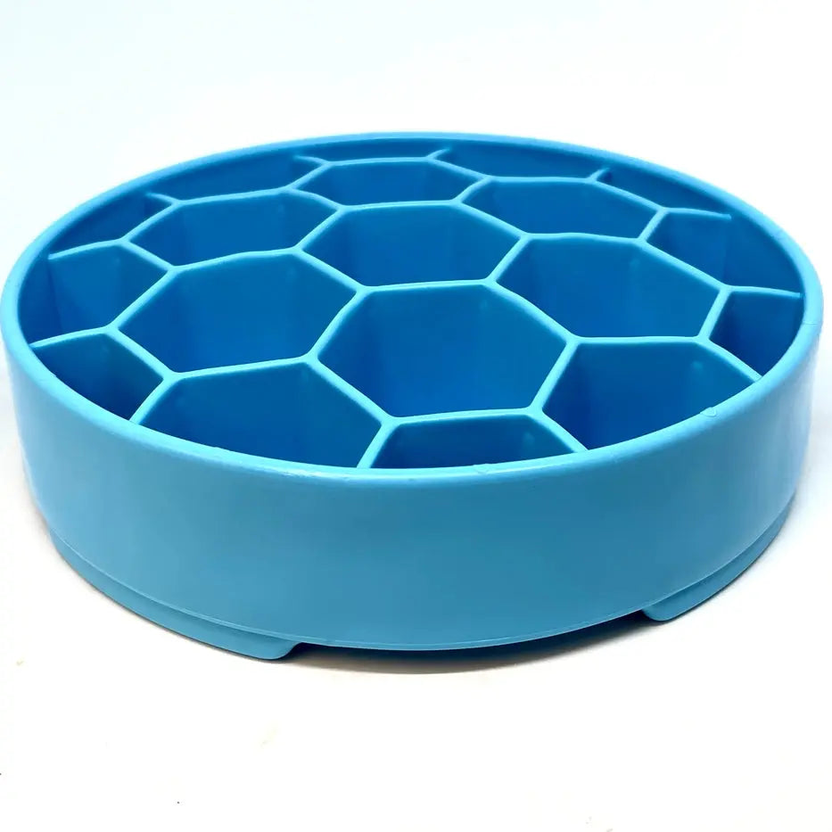 Honeycomb Design eBowl Enrichment Slow Feeder Bowl pour chiens Biscuit Rex