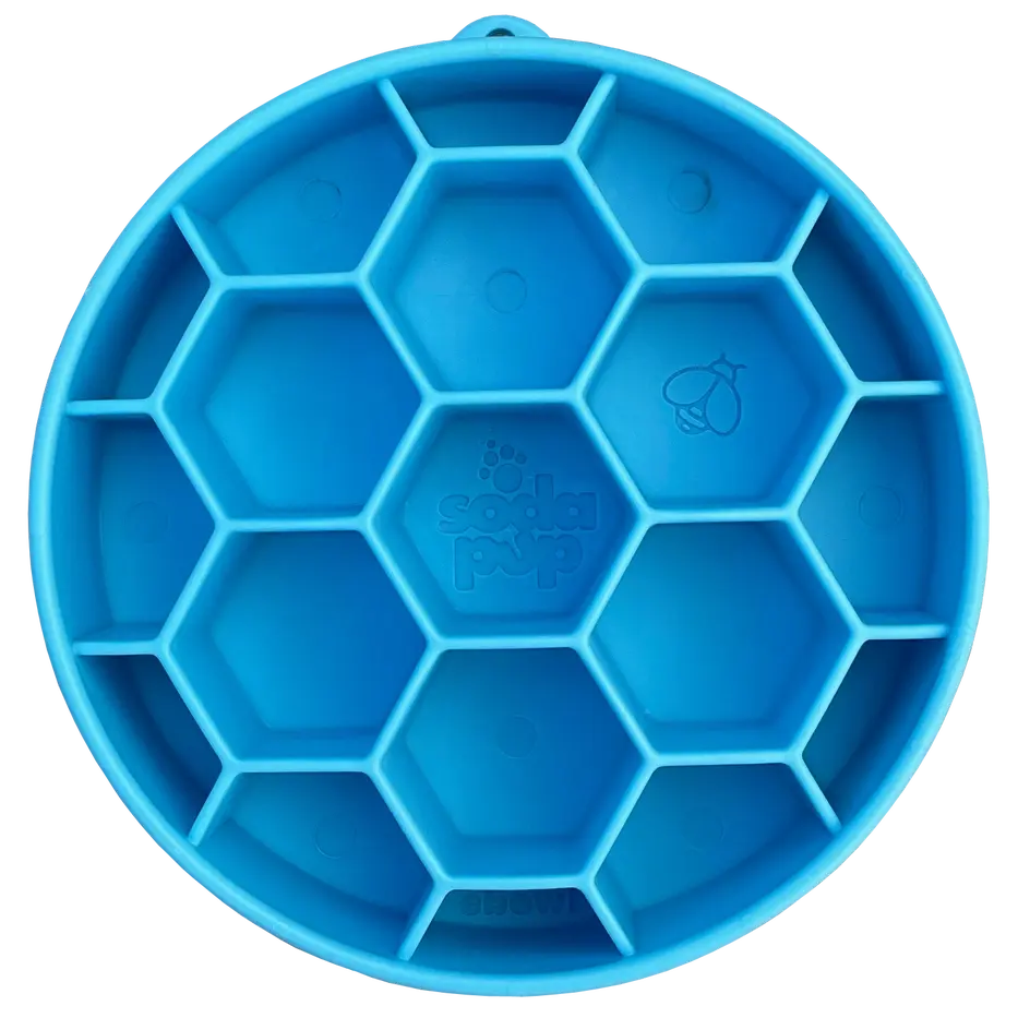 Honeycomb Design eBowl Enrichment Slow Feeder Bowl pour chiens Biscuit Rex