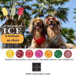 Glace pour chien carotte et mandarine - Crocandiz Biscuit Rex