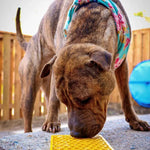 Tapis de léchage d'enrichissement Emat Design Honeycomb - Jaune - Larg Biscuit Rex