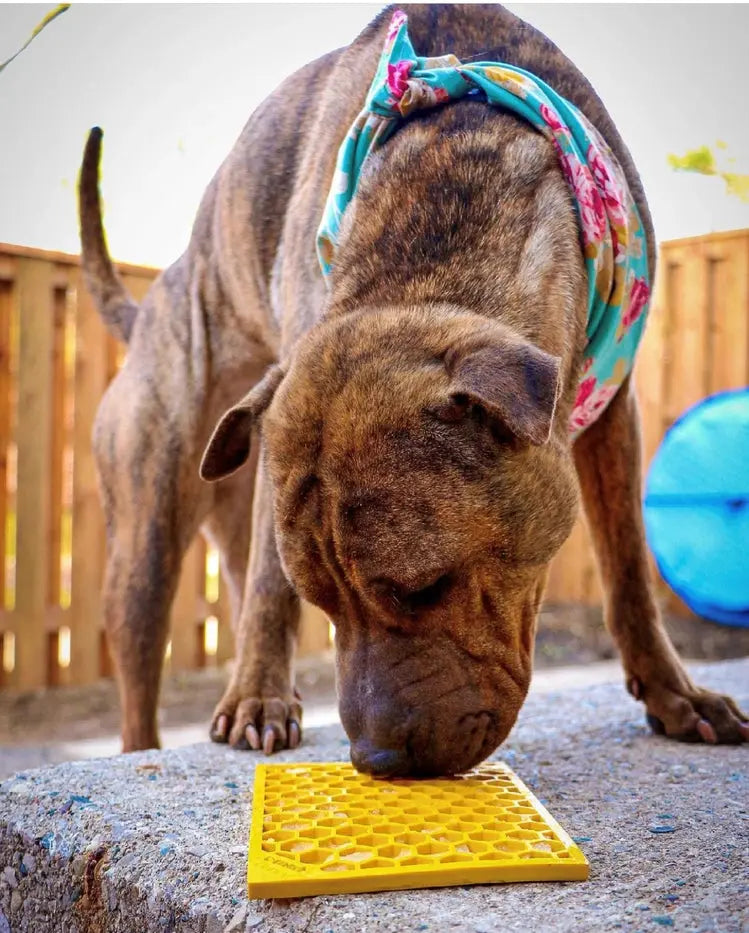 Tapis de léchage d'enrichissement Emat Design Honeycomb - Jaune - Larg Biscuit Rex